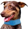 Adjustable Cooling Ice Pack Dog Neck Wrap