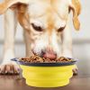 Silicone Collapsible Dog Bowls 4Pcs