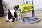 'Roto Paw' IQ Training Rotating Slow Dog Feeder