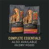 Purina Pro Plan Slices in Gravy 13 oz. Cans-12