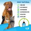 Kennel Cough Treatment Natural Infection Medicine for Dogs Cats