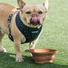 Silicone folding bowl dog automatic feeder