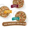 Purina Beneful Prepared Meals Variety 10 oz Tubs -12