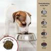 Healthy Balance Salmon Recipe Dry Dog Food 4 lb. Bag