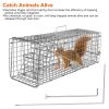 Catch Release Live Animal Rodent Cage Collapsible Galvanized