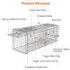 Catch Release Live Animal Rodent Cage Collapsible Galvanized