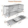 Catch Release Live Animal Rodent Cage Collapsible Galvanized