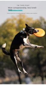 Bite-resistant Frisbee dog training Frisbee pet toy (Color: Blue Large (235mm))