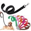 Dog Collar Leash