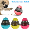 Toys Food Ball Food Dispenser Training Balls