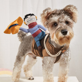 Cowboy Rider Pet Costume (Color: Mixed Color)