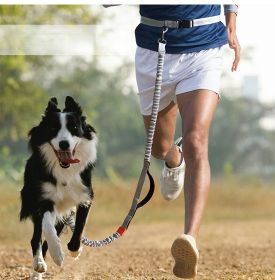 Hands Free Dog Leash for Medium and Large Dogs (colour: Orange -4211)