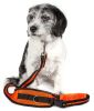 2-In-1 Training Dog Leash And Pet Belt With Pouch