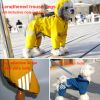 Small dog raincoat; waterproof poncho; with two holes