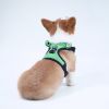 Small Dog Chest Back Retractable Dog Leash Pet Harness