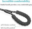 Dual Dog Leash, Shock Absorbing Bungee for Two Dogs