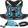 Harness And Leash Set For Dog & Cat