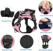 Harness And Leash Set For Dog & Cat