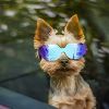 Dog Goggles Small Dog Sunglasses UV Protection