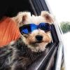 Dog Goggles Small Dog Sunglasses UV Protection