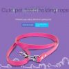 Dog Collar Leash