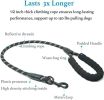 Dual Dog Leash, Shock Absorbing Bungee for Two Dogs