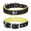 Reflective Nylon Collar; Medium, Large Dog