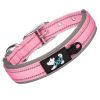 Reflective Nylon Collar; Medium, Large Dog