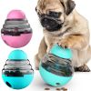 Toys Food Ball Food Dispenser Training Balls