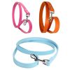 Dog Collar Leash